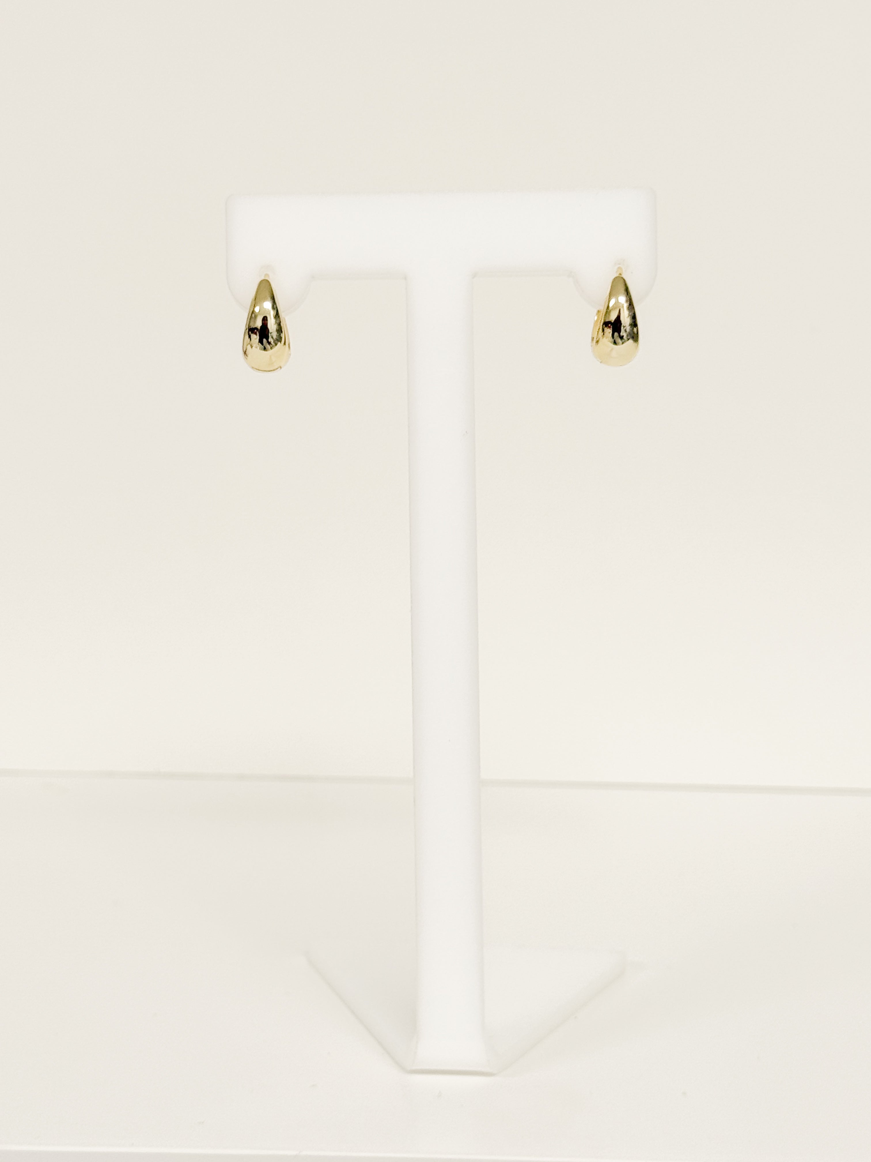 Golden Hoops Earrings