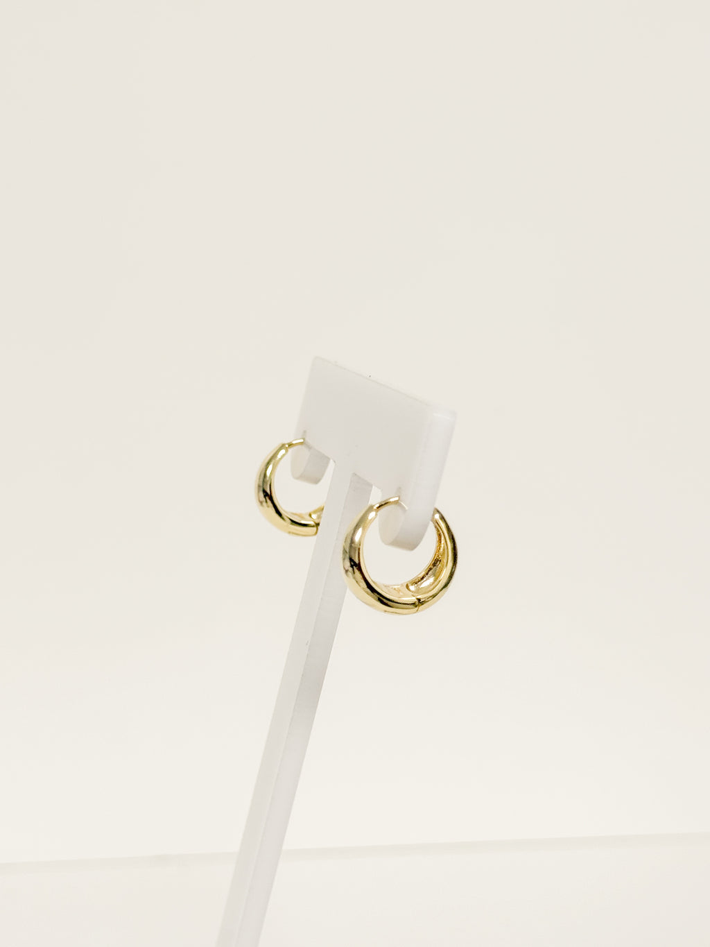 Golden Hoops Earrings